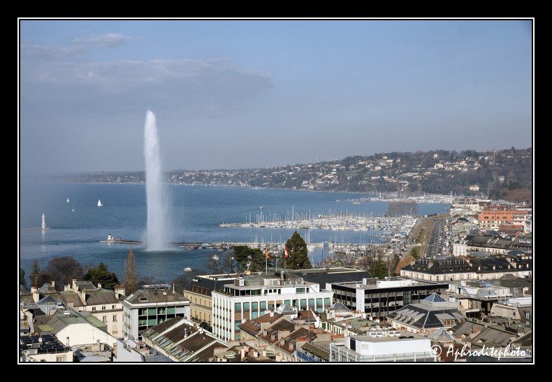 061 La ville et la rive gauche du lac vues depuis la tour Nord